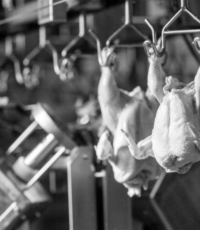 Instalaciones Galpromeat